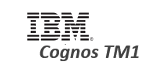 IBM Cognos TM1
